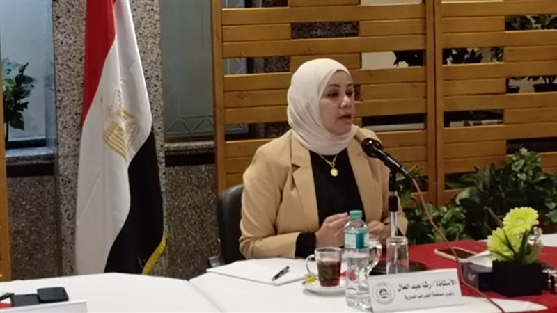 رشا عبد العال:  النظام الضريبي المبسط فرصة لدعم المنشآت الصغيرة وتحقيق الاستقرار الضريبي