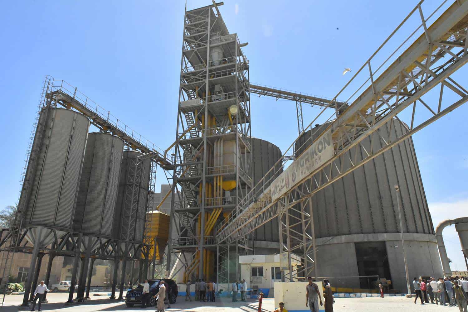 بإجمالي 185 ألف طن.. حصيلة توريد القمح المحلي لموسم 2025 بأسيوط