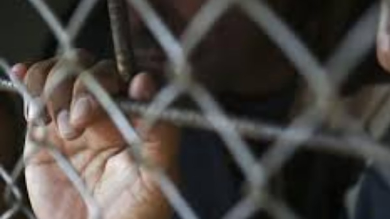 حبس سائق ميكروباص سنة بتهمة دهس شخص في المعادي