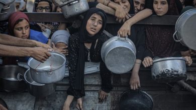 صندوق غزة الإنساني
