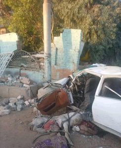 مصرع وإصابة 10 مواطنين في أسيوط بسبب حمار