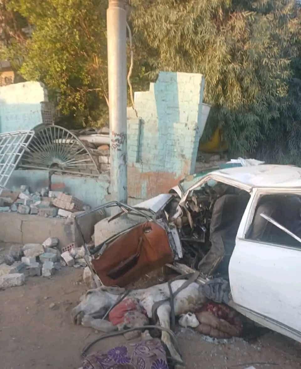 مصرع وإصابة 10 مواطنين في أسيوط بسبب حمار