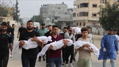 54 قتيلًا في غزة خلال 24 ساعة وضحايا المجاعة يتجاوزون 239