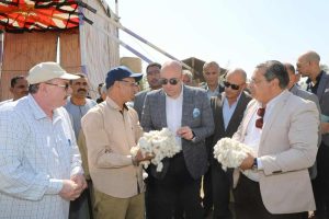 محافظ بني سويف يفتتح موسم جمع القطن لعام 2025