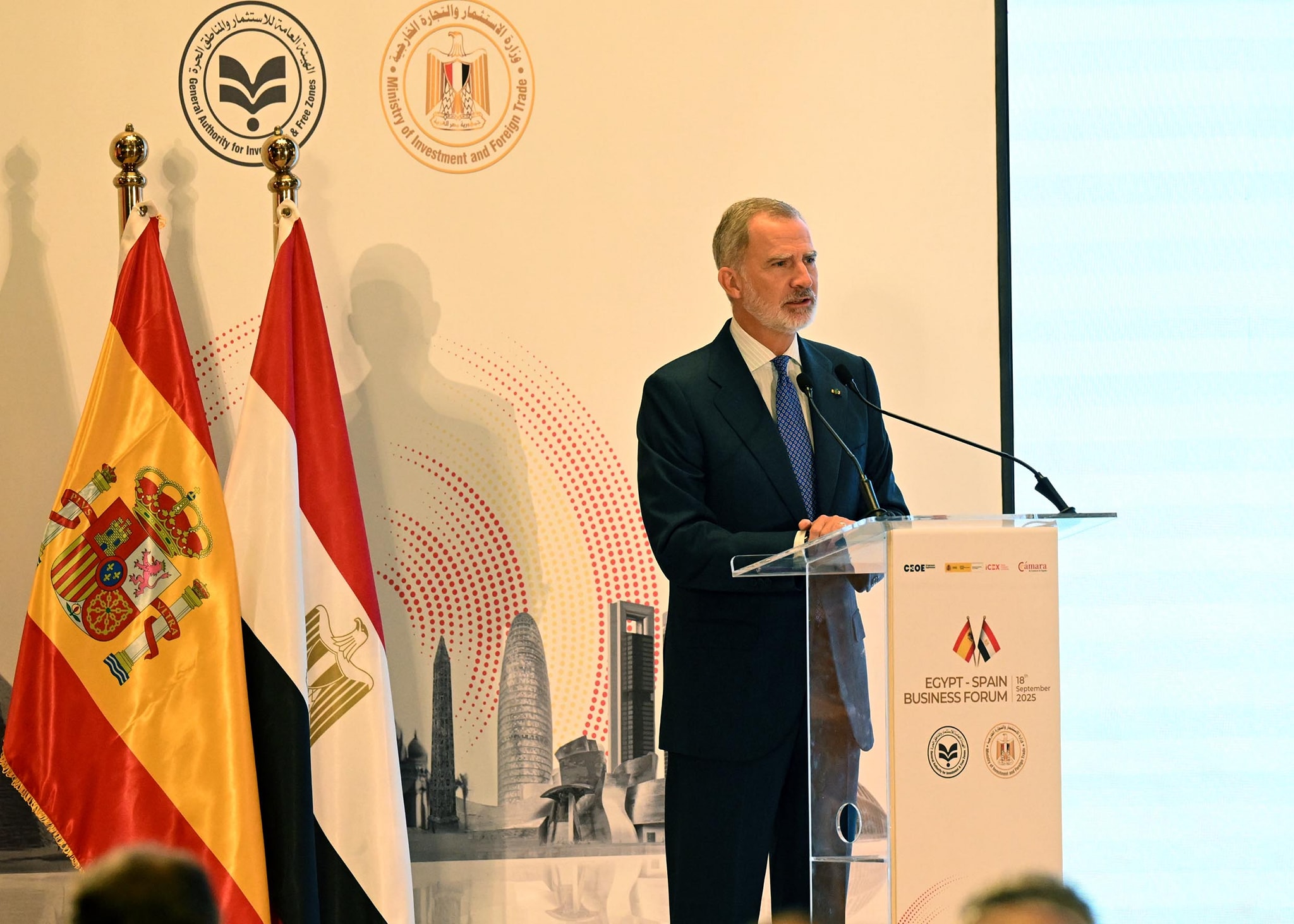 ملك إسبانيا: شركاتنا تساهم في مشروعات عملاقة بمصر