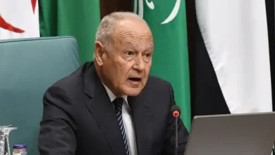 أبو الغيط يحذر من تصور إسرائيلي يهدد المنطقة بحروب مدمرة