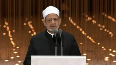 شيخ الأزهر: التضامن العربي هو الحل الوحيد للأزمة الفلسطينية