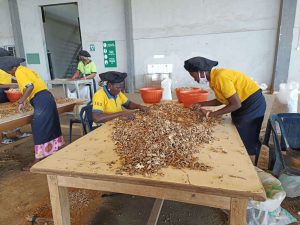 آفيشكار كابيتال تقدم قرضًا بقيمة 5 ملايين دولار لمجموعة هورايزون أفريقيا