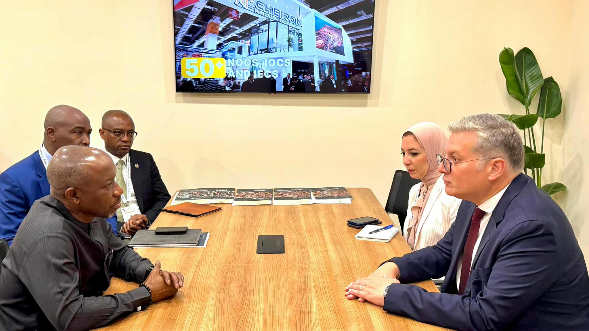 مصر ونيجيريا تبحثان زيادة الاستثمارات المشتركة في مجال الطاقة