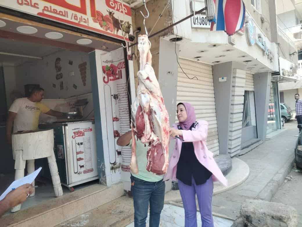 بيطري المنيا: ضبط لحوم مخالفة خلال حملات تفتيشية