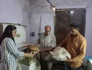 بيطري المنيا يضبط أكثر من طن ونصف لحوم غير صالحة للاستهلاك الآدمي بمركز مغاغة