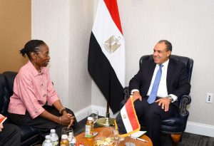 مباحثات مصرية مع «مجموعة الأزمات الدولية» لوقف إطلاق النار في غزة