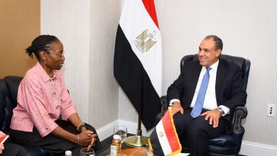 مباحثات مصرية مع «مجموعة الأزمات الدولية» لوقف إطلاق النار في غزة