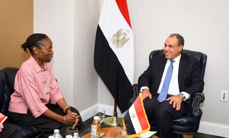 مباحثات مصرية مع «مجموعة الأزمات الدولية» لوقف إطلاق النار في غزة