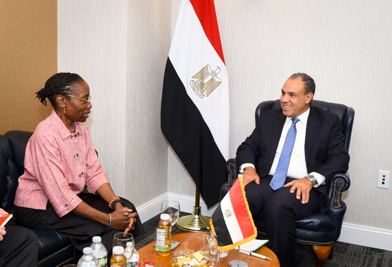 مباحثات مصرية مع «مجموعة الأزمات الدولية» لوقف إطلاق النار في غزة