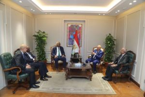 مصر وجيبوتي تبحثان تعزيز التعاون في النقل والصناعة والبنية التحتية