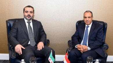 القاهرة تؤكد على وحدة الأراضي السورية ورفض التدخلات الأجنبية