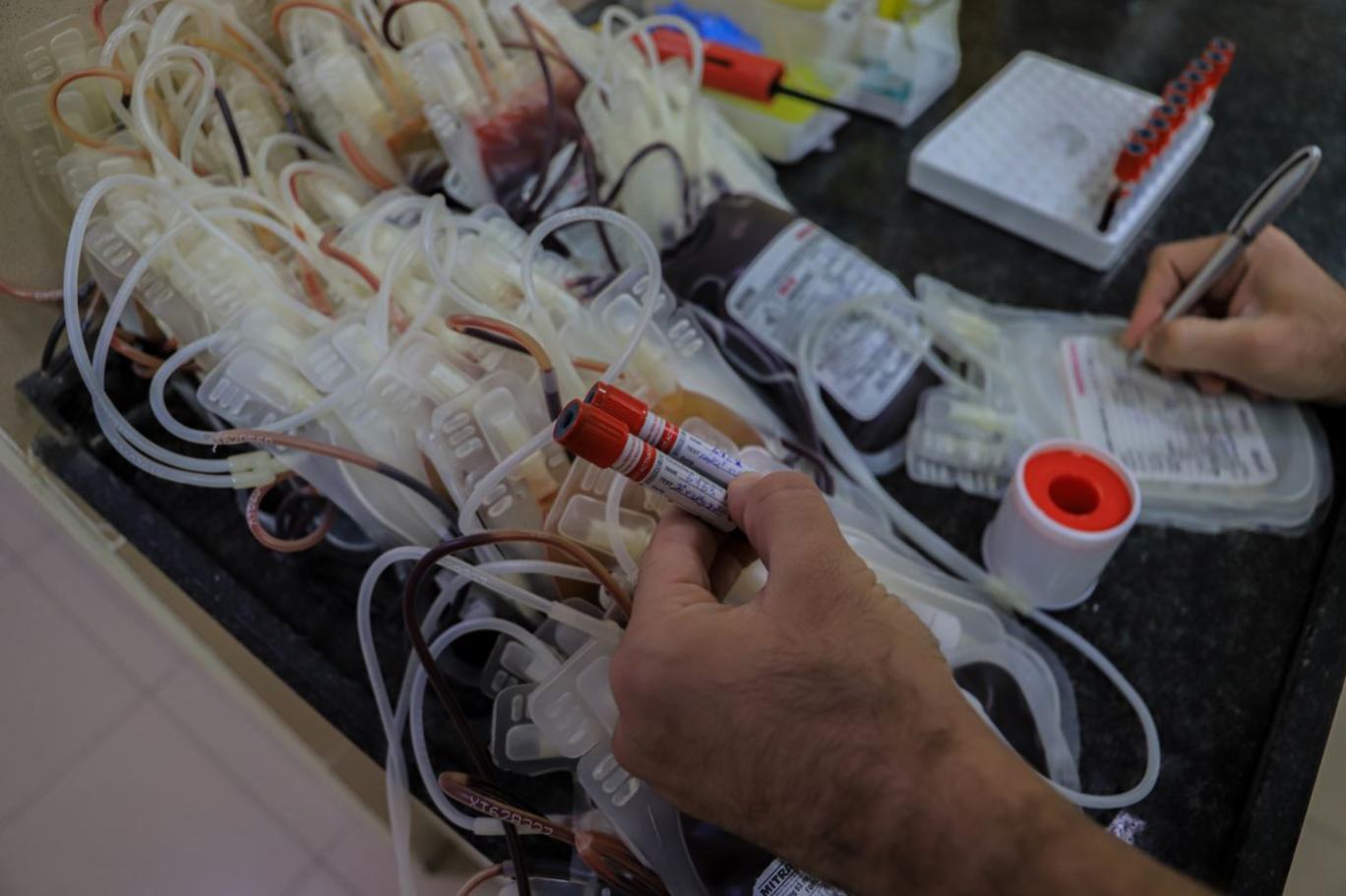 صحة غزة: بنوك الدم مهددة بالتوقف الكامل