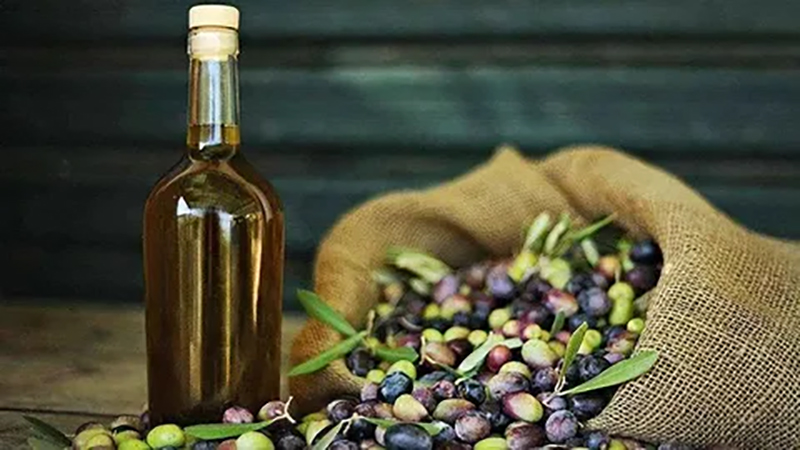 زيت الزيتون.. الذهب السائل يحمي صحتك ويعزز جمالك