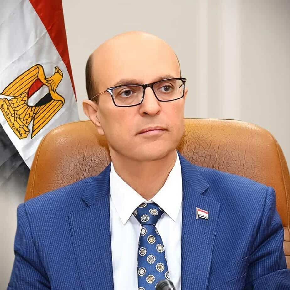 حبس مروة يسري الشهيرة بـ«ابنة مبارك» سنتين وتغريمها 100 ألف جنيه بتهمة التشهير