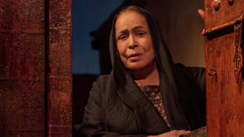 تطورات الحالة الصحية للفنانة الكويتية حياة الفهد