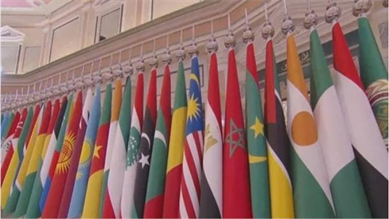 زعماء الدول العربية والاسلامية يبحثون اليوم بالدوحة التطورات الأخيرة بالمنطقة