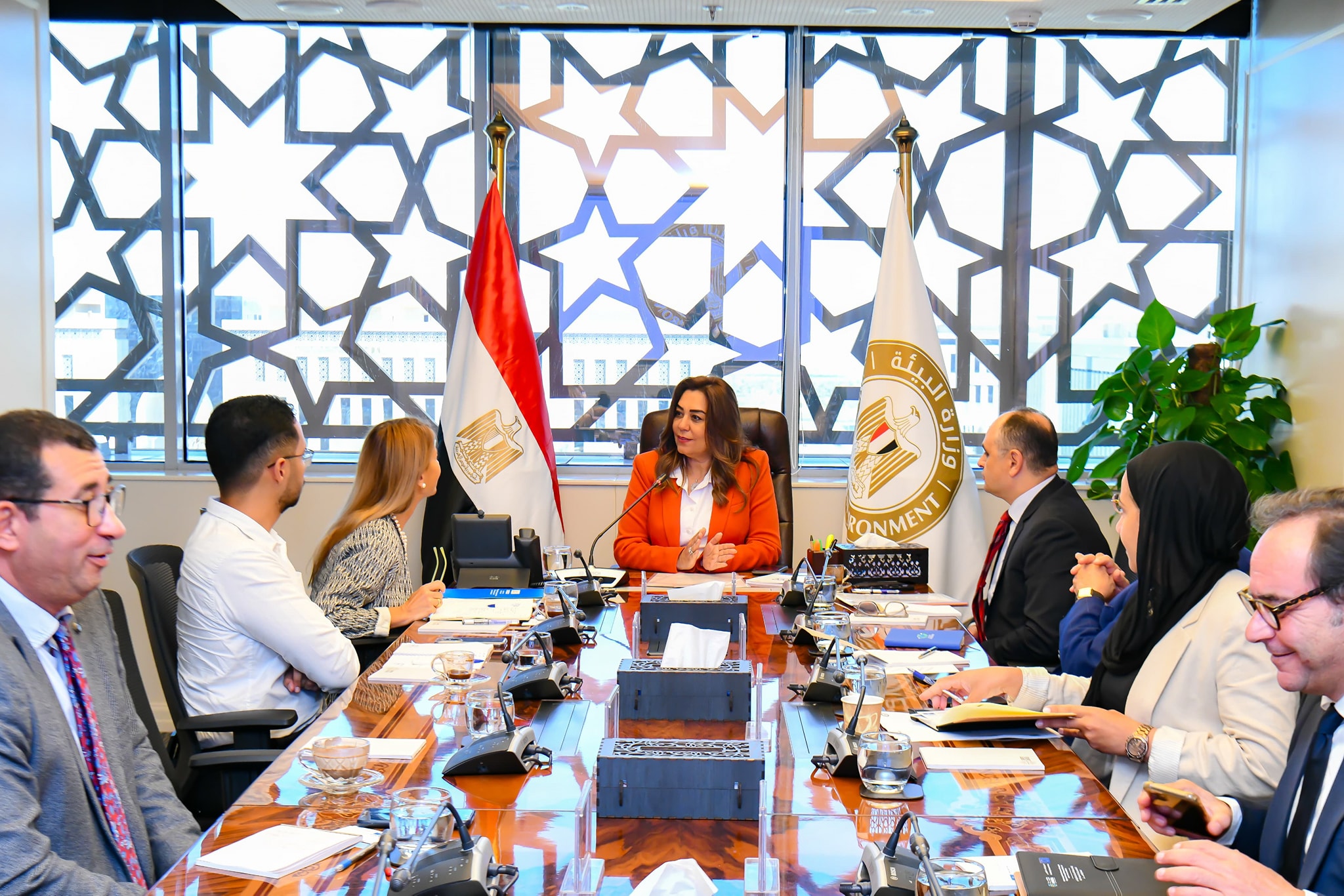 وزيرة التنمية المحلية تبحث مع اليونسكو تعزيز التعاون في المدن البيئية والمبدعة