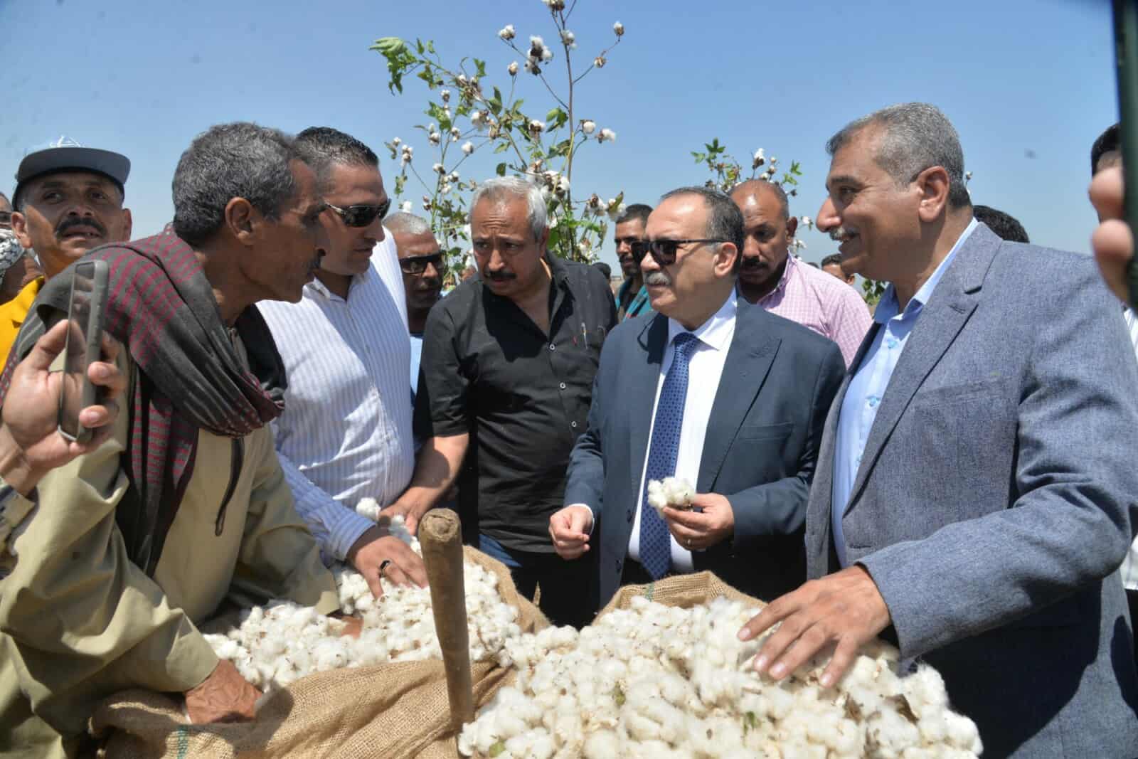 محافظ أسيوط يفتتح موسم جني القطن لعام 2025
