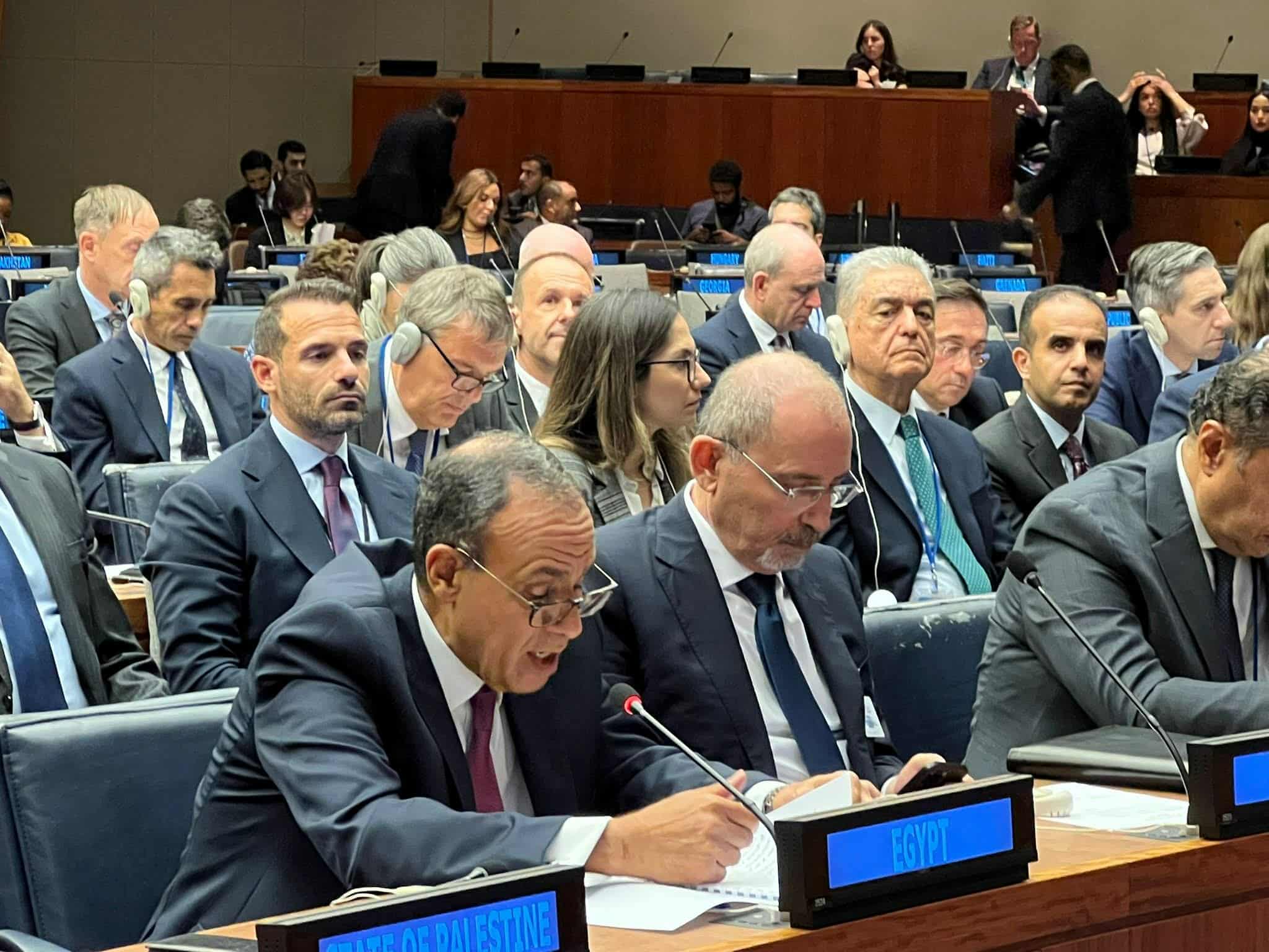 الخارجية: الاعتراف بالدولة الفلسطينية لحظة مفصلية وتاريخية في مسار القضية