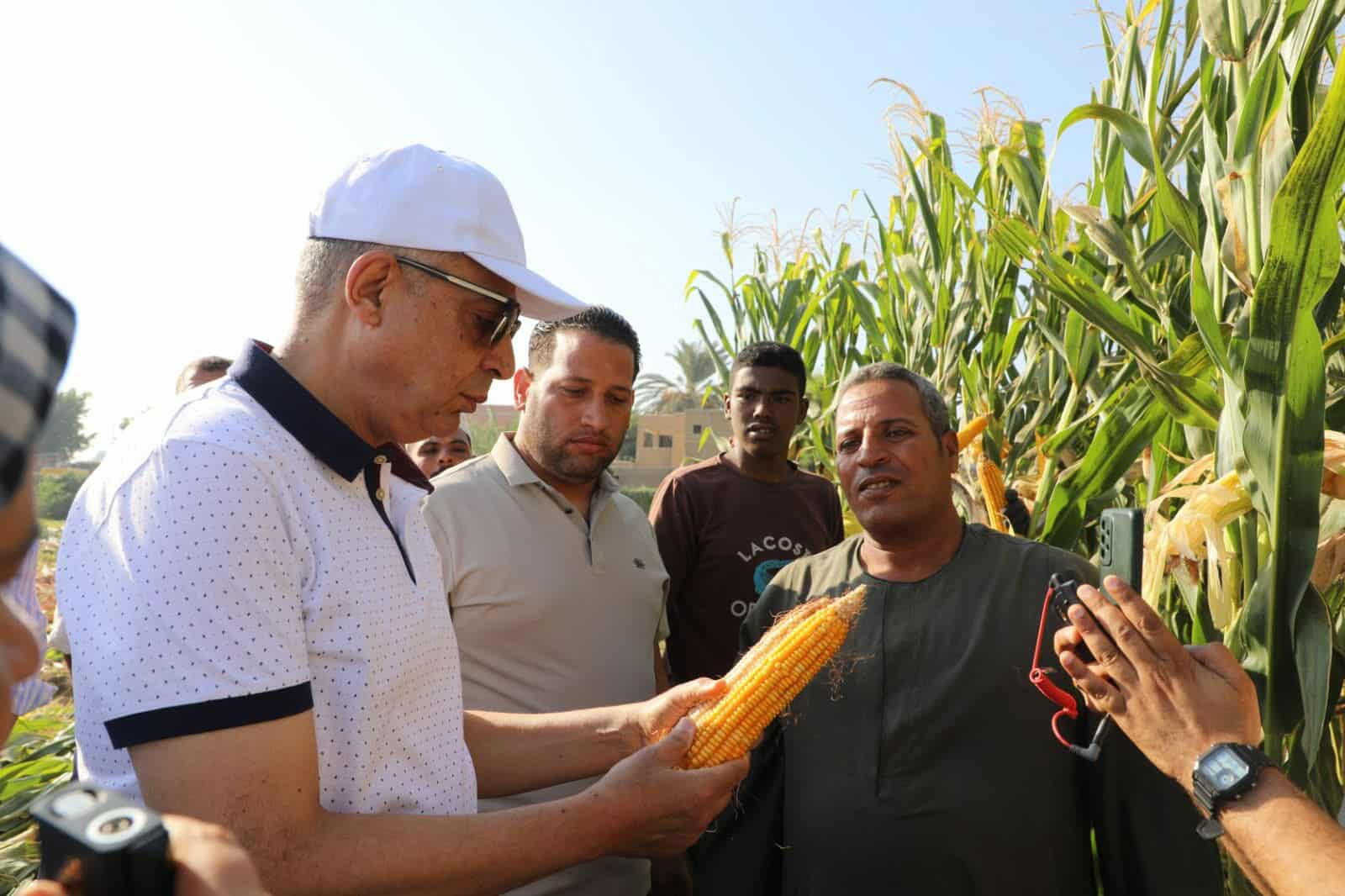 محافظ المنيا يشارك مزارعي قرية الشعراوية بسمالوط حصاد المحاصيل الصيفية