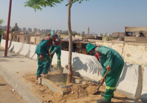 وزيرة التنمية المحلية تتابع الموقف التنفيذي للمرحلة الرابعة من المبادرة الرئاسية ” 100 مليون شجرة “