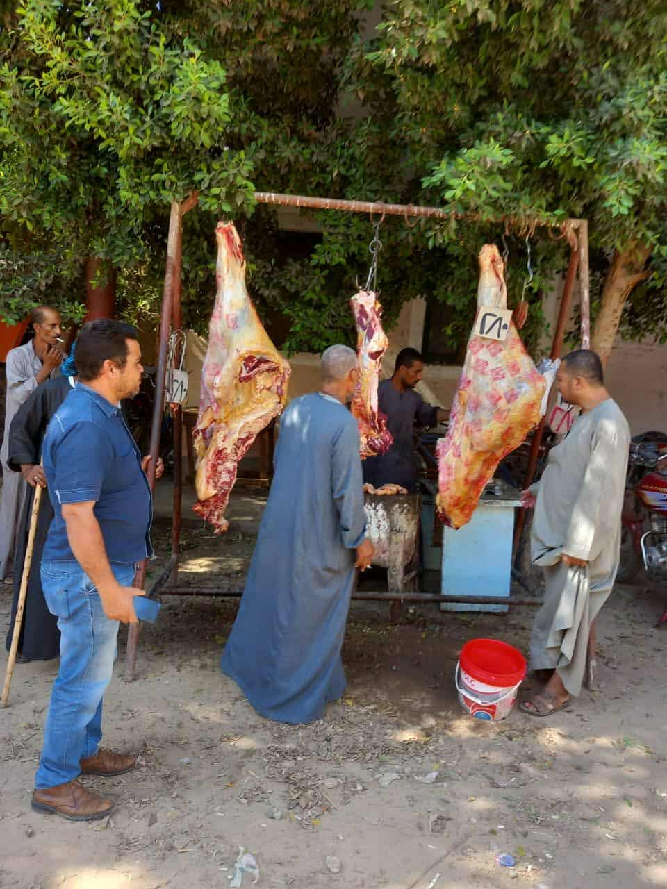 تموين المنيا: ضبط 99 مخالفة تموينية خلال حملات رقابية على المخابز والأسواق