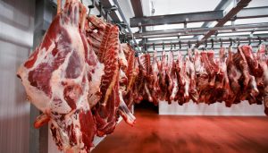 أسعار اللحوم الحمراء اليوم الإثنين