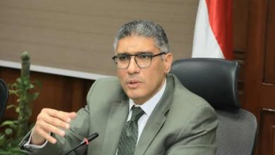 محافظ الجيزة