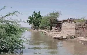 غرق جزئي لـ”جزيرة بني مر” بأسيوط بسبب ارتفاع منسوب مياه النيل