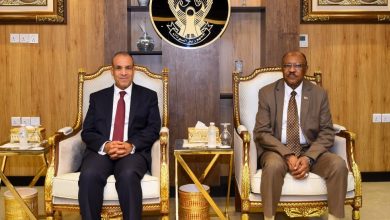 مصر تدعو لرفع حصار الفاشر وتؤكد رفض الانفراد بقرارات النيل