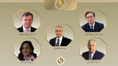 وزير الخارجية المصري يبحث تنسيق الدعم الدولي لغزة