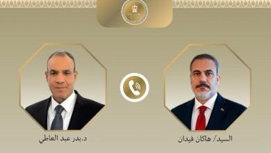 وزيرا خارجية مصر وتركيا يناقشان تعزيز التعاون وتثبيت اتفاق غزة