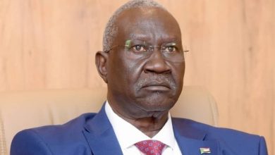 نائب رئيس مجلس السيادة  السوداني يدعو للتماسك بعد مجازر الفاشر