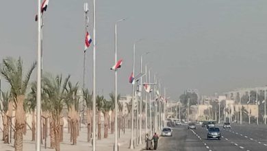 الأعلام واللافتات