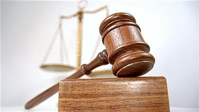 9 نوفمبر…محاكمة خادمة بتهمة سرقة مخدومتها فى النزهة