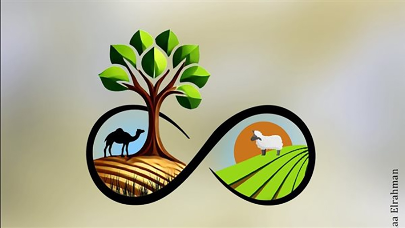 مصر تشارك العالم العربي الاحتفال باليوم العربي للبيئة ٢٠٢٥