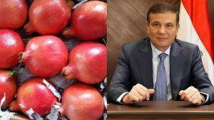 وزير الزراعة يعلن رسميًا فتح السوق الفنزويلي أمام صادرات مصر من الرمان الطازج