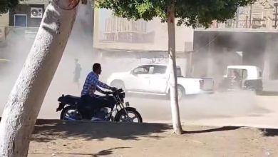 جانب من الفيديو