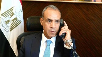 وزير الخارجية المصري ينقل دعوات السيسي وترامب لقادة العالم