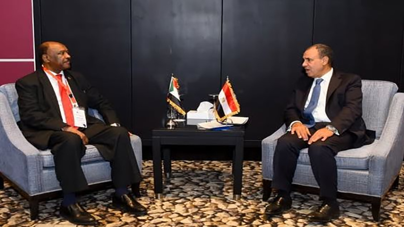 وزير الخارجية يلتقي نظيره السودانى على هامش منتدى أسوان للسلام