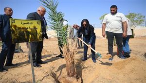وزيرة التضامن الاجتماعي تغرس نخلة دعمًا لمبادرة زراعة النخيل في الوادي الجديد