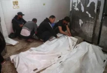 صحة غزة: حصيلة الضحايا منذ وقف إطلاق النار تتجاوز 240 شهيدًا