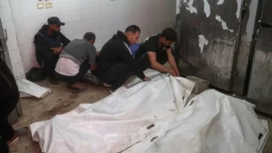 صحة غزة: حصيلة الضحايا منذ وقف إطلاق النار تتجاوز 240 شهيدًا