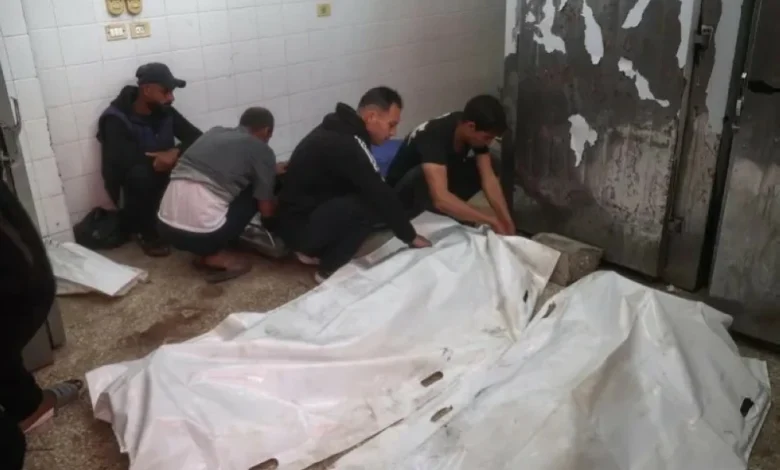 صحة غزة: حصيلة الضحايا منذ وقف إطلاق النار تتجاوز 240 شهيدًا